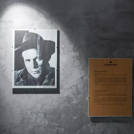 Dovzhenko Отель *